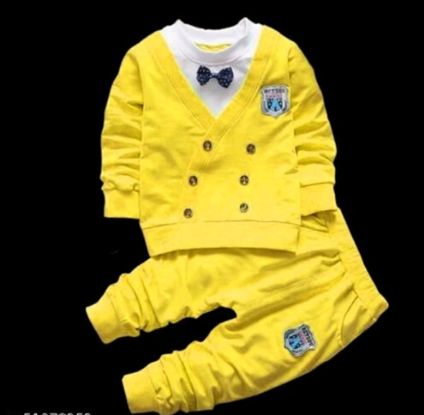 Princess Elegant Boys Sweaters - 18-24 Years